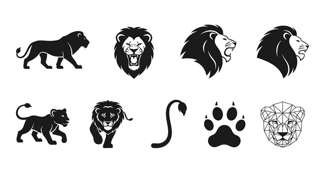 Set of stylized lion icons and illustrations, representing different poses and features of these majestic wild cats