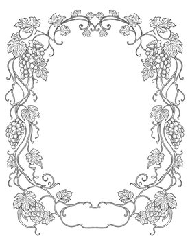 Old Grape Vine Botanical Border Frame Vintage Hand Drawn Illustration