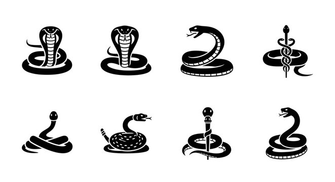 Collection of stylized black and white vector illustrations featuring various coiled snakes, including cobras and symbolic serpents, ideal for icon sets and graphic design projects