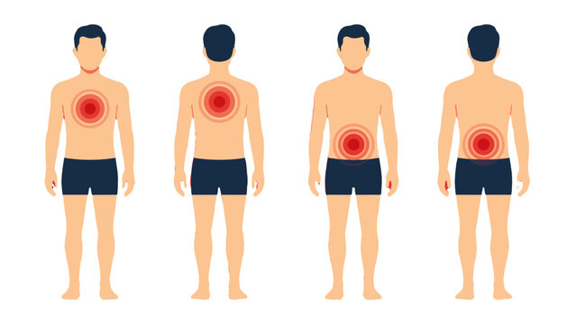 Male body pain localization set with chest back and abdomen