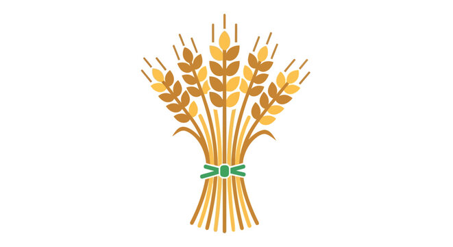 Illustration of a wheat sheaf tied with green ribbon, agricultural design concept