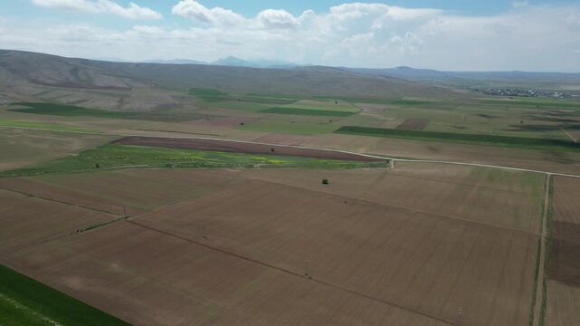 Large fields with a drone_Green fields_Agricultural lands_4K