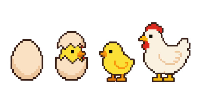 Pixel art chicken life cycle from egg to chick and hen