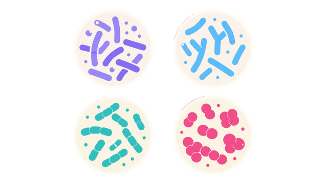 Petri dishes with colorful bacteria colonies in flat vector style