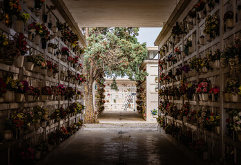 Tor zur Stille – Blumengeschmückte Urnengräber auf einem Friedhof in Italien © Michael Niehaus