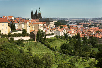 Obraz premium Prague Castle and St. Vitus Cathedral rising above the terraced green vineyards and red tiled roofs of the Malá Strana district on a sunny day in Prague, Czech Republic.