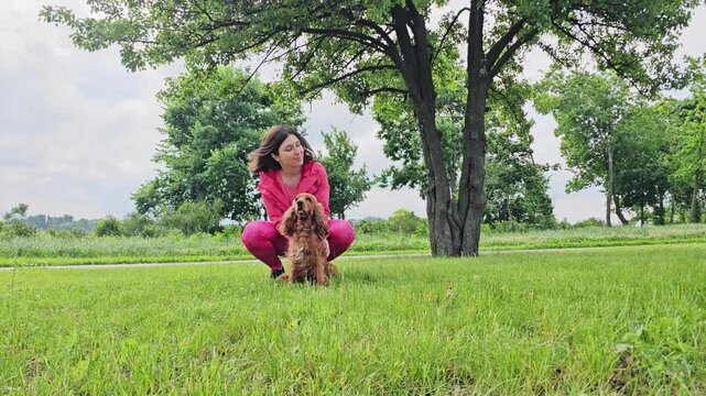 Dog Playing with Owner in Park. Happy red cocker spaniel