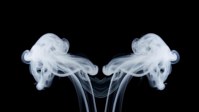 Mesmerizing dual smoke streams dance against black background