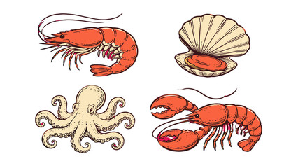 Hand drawn seafood set with shrimp scallop octopus and lobster © Andrei