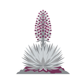 Ultra Flat Metallic Silver Leaved Hawaiian Silversword Vector