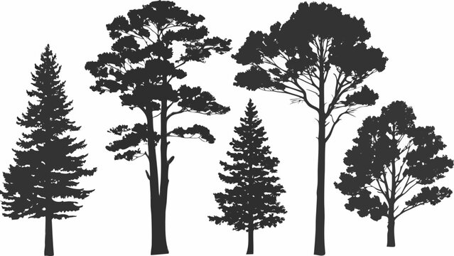 Black Tree Silhouettes Against A White Background Minimalist Illustration