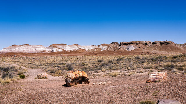 The rugged and spectacular lamdscape of the Petrified Foraest National Park East of Holbrook AZ