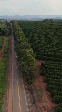 Vista a&eacute;rea da rodovia, arbustos e planta&ccedil;&atilde;o de caf&eacute; verde no interior de Minas Gerais, Brasil.