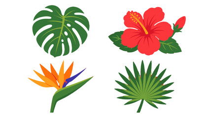 Fototapeta premium Flat tropical plant elements with leaves and flowers set