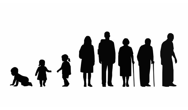 Human aging stages silhouette vector timeline from baby to elderly