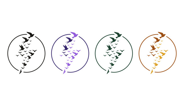 Minimalist Group of Birds Flying within Circles in Various Colors