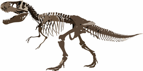 Tyrannosaurus Rex Skeleton Illustration Pale Brown Tones On White Background © Indira