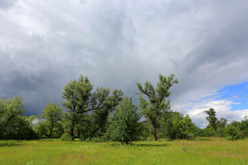 Naklejka premium Lush green meadow under a dramatic sky with dark storm clouds approaching
