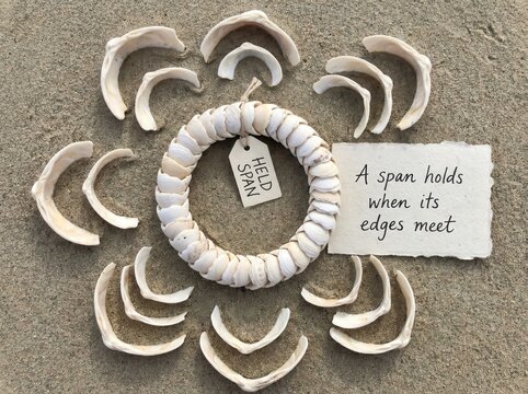 Seashell Craft Circle and Fragments, Low Attention Span
