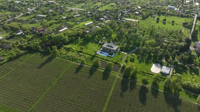 Wide aerial view of Chateau Mukhrani vineyard and estate in Georgia, geometric rows of green grapevines stretching toward the royal palace and village countryside under sunny sky.