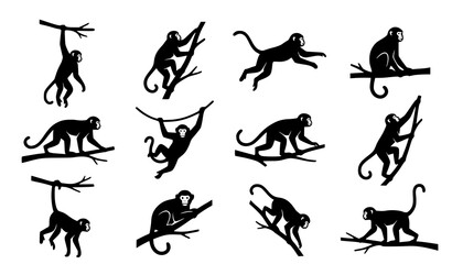 Monkey Silhouette Vector Set with Climbing Jungle Primate Poses Isolated on White Background © Shultana