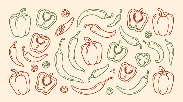Chili Pepper Pattern Vector Hand Drawn for Food Packaging Design