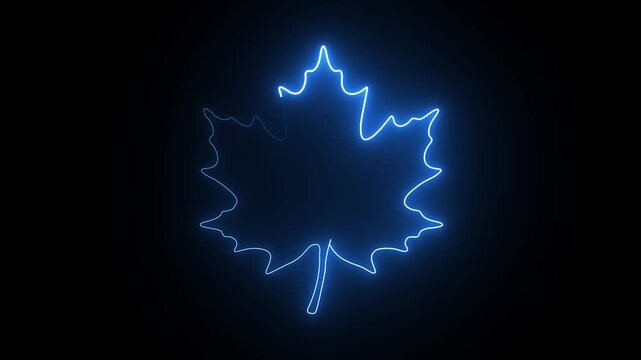 lowing neon blue maple leaf outline continuous line loop animation, autumn nature concept
