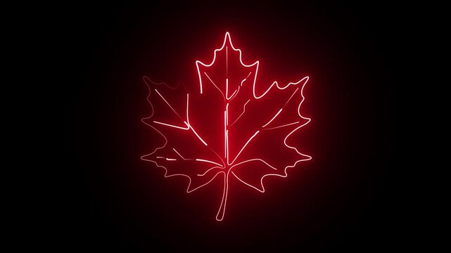 Glowing neon red maple leaf with internal veins pulse loop animation, autumn season concept