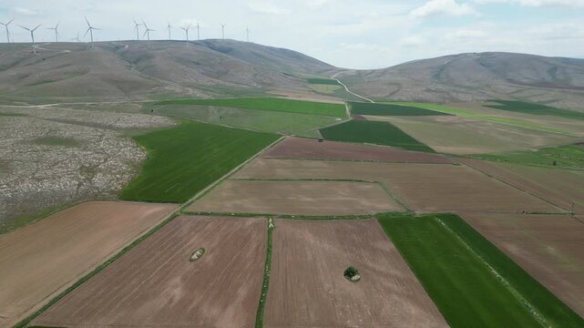 Large fields with a drone_Green fields_Agricultural lands_4K