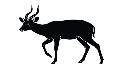 Antelope silhouette stands in profile against a solid white studio backdrop. © sajida