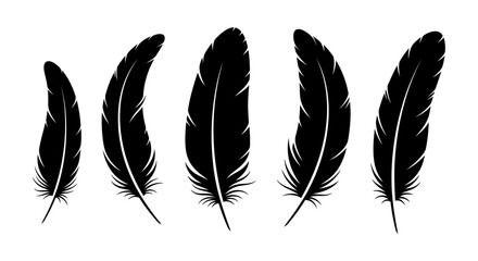 Vector group of black feather isolated on white background. Icons. EPS 10 © Umar