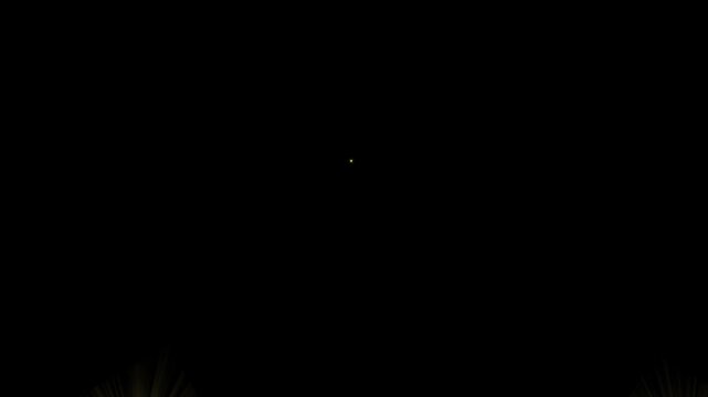 Intense paparazzi camera flashes on black background for carpet night event.