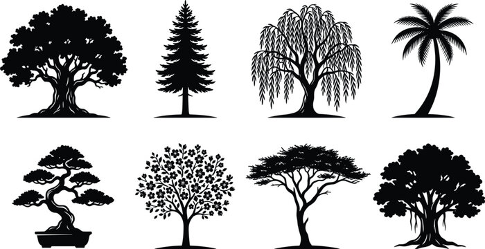 Tree silhouette vector set featuring oak pine weeping willow palm bonsai blooming cherry blossom savanna acacia and banyan tree