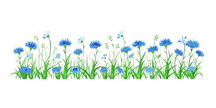 Horizontal row of blue meadow wildflowers, vector