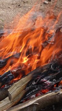 Burning wood and flames closeup.