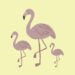 Obraz premium Hand-drawn of flamingos illustration