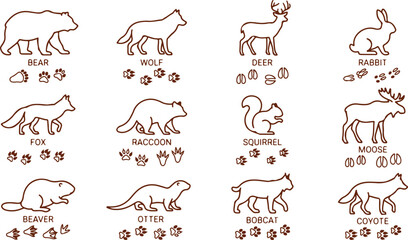 Wild forest animal illustrations with paw prints bear wolf deer rabbit fox raccoon squirrel moose beaver otter bobcat coyote. © Sadhin