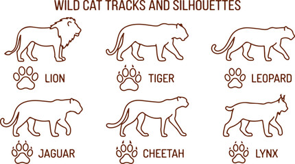 Set of six wild cat silhouettes and tracks lion tiger leopard jaguar cheetah lynx paw prints. © Sadhin