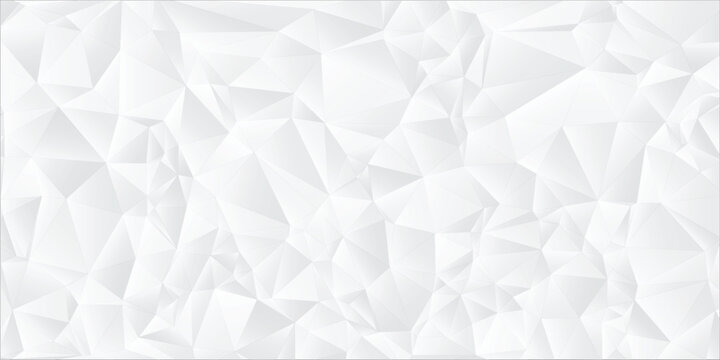Textured White Crystal Inspired Low Poly Background modern illustration