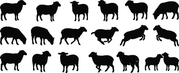 Obraz premium Sheep silhouette collection isolated on light background vector set featuring grazing standing running and jumping sheep