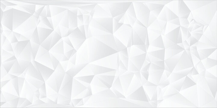 Modern White Low Poly Design for Professional Branding visual design