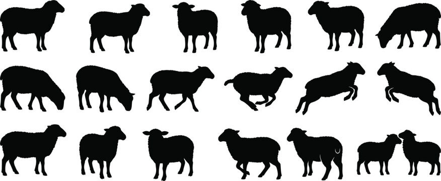 Sheep silhouette collection isolated on light background vector set featuring grazing standing running and jumping sheep