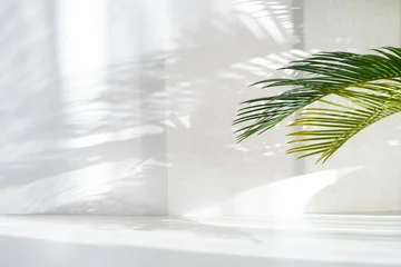 Minimalist nature background with a vibrant green palm leaf casting delicate shadows on a textured white wall. Bright sunlight, copy space for product display, summer aesthetic, clean interior. © Laura Pashkevich