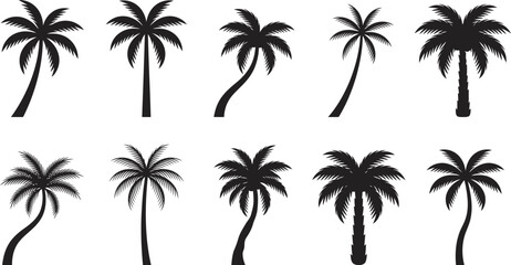 Fototapeta premium Collection of black palm tree silhouettes