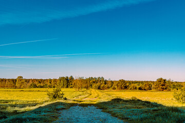 Blick über die Weide. © michaelstephan