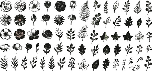 Set of vector silhouettes of black floral elements, seamless patterns and nature ornaments for decoration design illustrations. © MOSTHANUFA
