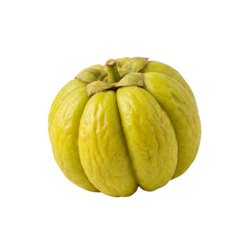Single ripe Garcinia cambogia fruit isolated on white background.