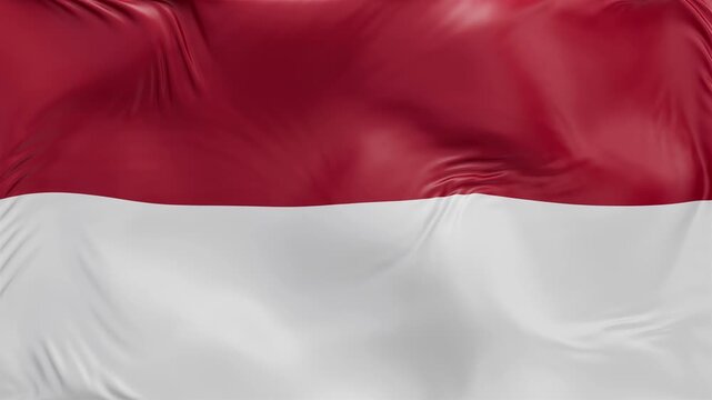 Monaco flag waving Seamless silk flag 3d animation slow motion Looping