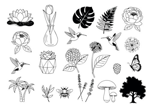Line art icon set of 24 nature and botanical elements featuring flowers, hummingbirds, leaves, insects and plants for decorative design