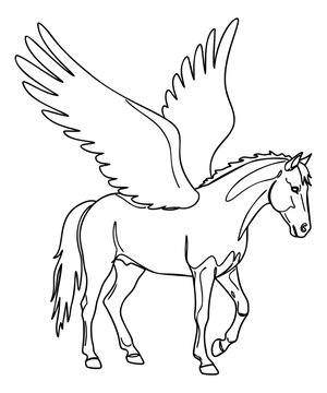 Outline illustration of a pegasus depicting a winged horse walking for mythology and fantasy design